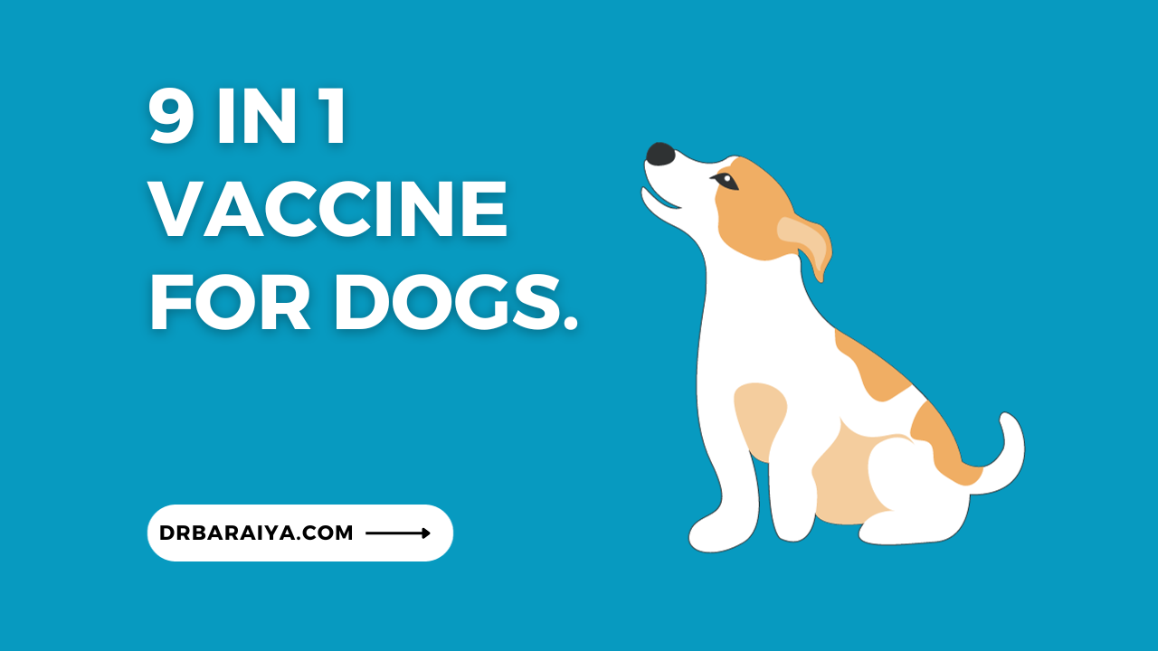 9 in 1 vaccine for dogs