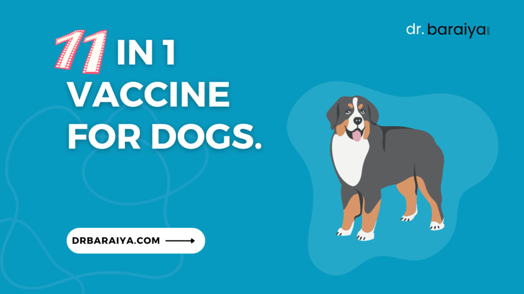 11 in 1 vaccine for dogs