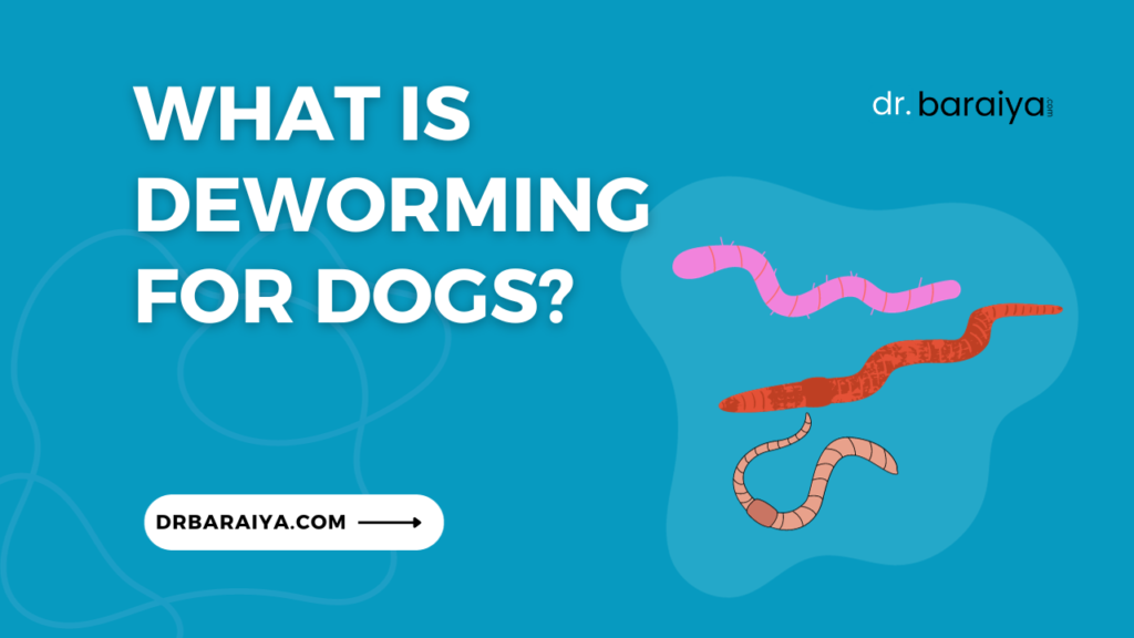 What is deworming for dogs?