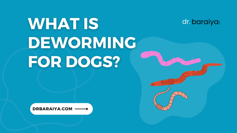 What Is Deworming For Dogs Schedule Dosage Drbaraiya what-is-deworming-for-dogs-schedule-dosage-drbaraiya
