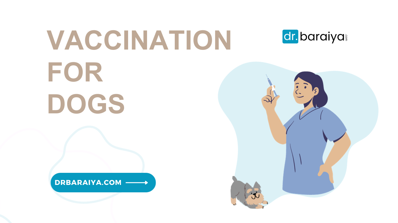 Vaccination for dogs