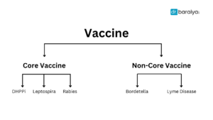 Vaccination for dogs