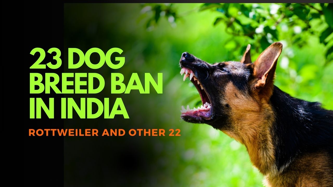 23 dog breed ban in india