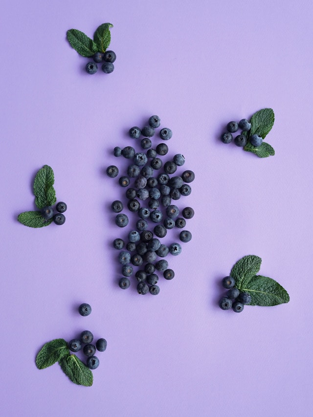 Which berries are good for dogs?