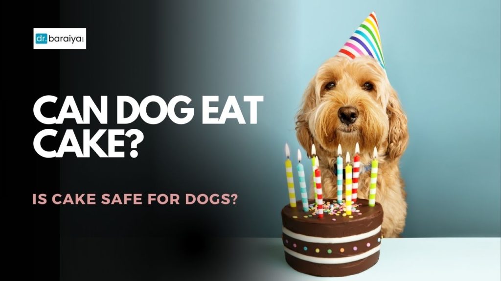 Can dogs eat cake