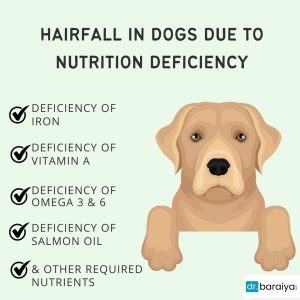 Hair fall in dogs due to nutritional deficiency