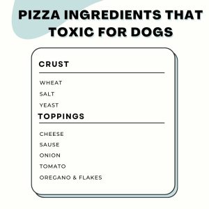 Pizza Ingredients that toxic for dogs