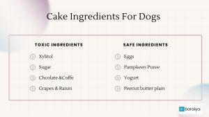 cake ingredients for dogs