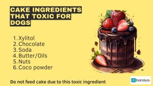 cake ingredients that toxic for dogs