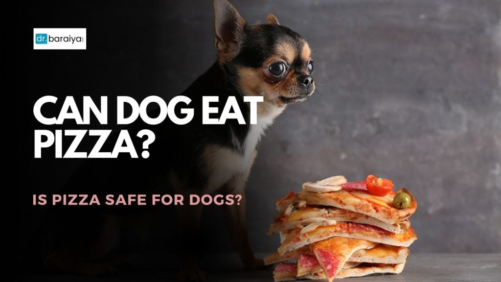 can dog eat pizza