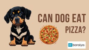 can dogs eat pizza 