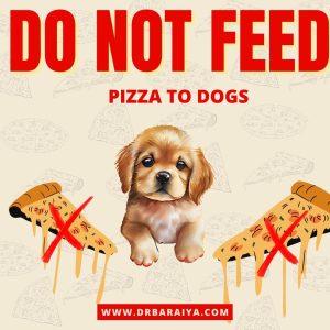 do not feed pizza to dogs