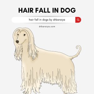 hair fall in dogs