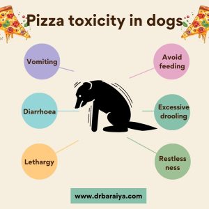 symptoms of pizza toxicity in dogs