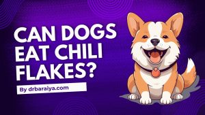 Can Dogs eat Chili? 5 Can dogs eat chili Flakes
