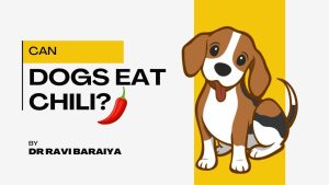 Can Dogs eat Chili? 2 can dogs eat chili