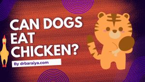 Can Dogs eat chicken