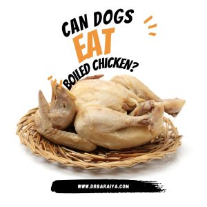 can dogs eat boiled chicken