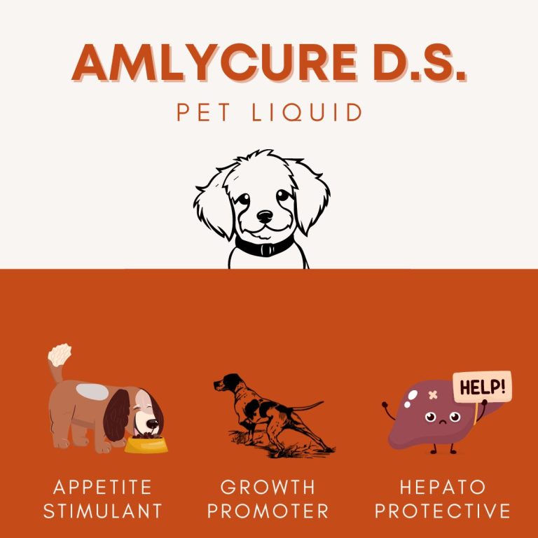 Amlycure ds pet liquid 200ml drbaraiya.com 2