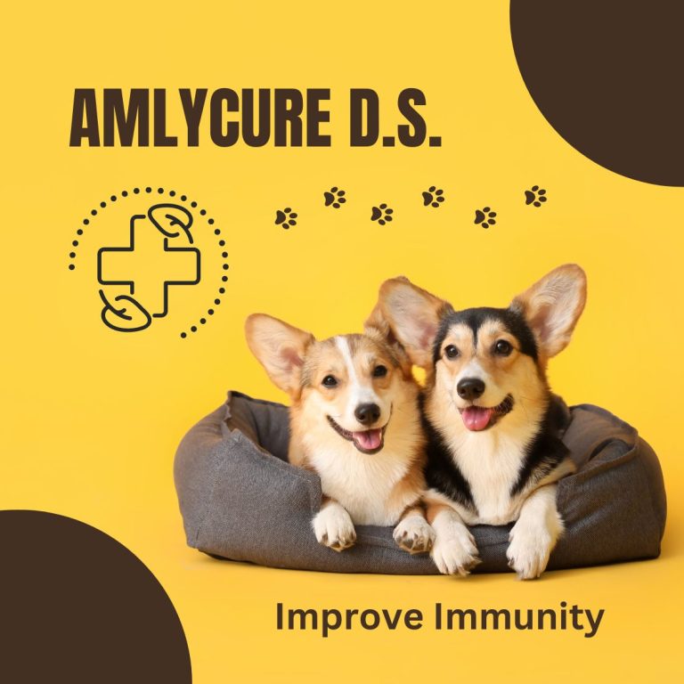 Amlycure ds pet liquid 200ml drbaraiya.com 4