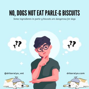 No, dogs not eat parle-g biscuits