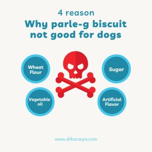 Why parle-g biscuit not good for dogs